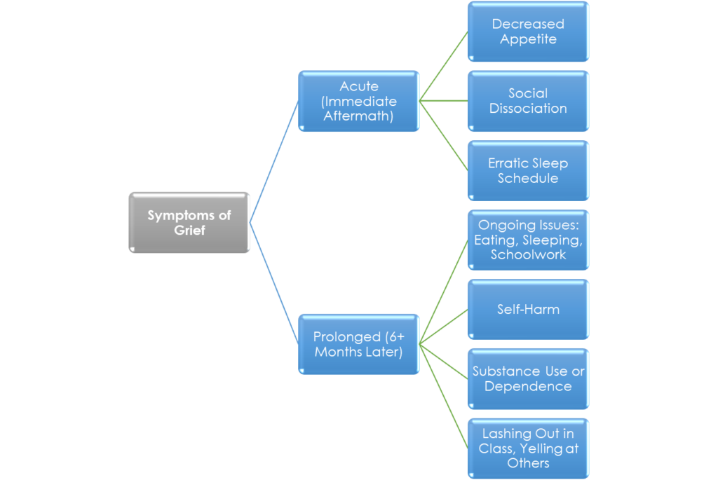 A graphic diagram with white title text "Symptoms of Grief" in a grey box branching out to two blue text boxes. The first text box is titled "Acute (Immediate Aftermath)", which branch out to three blue text boxes titled "Decreased Appetite", "Social Dissociation" and "Erratic Sleep Schedule". The second box is titled "Prolonged (6+ Months Later"), which branches out to four text blue text boxes titled "Ongoing Issues: Eating, Sleeping, Schoolwork", "Self-Harm", "Substance Use or Dependence", and "Lashing Out in Class, Yelling at Others."
